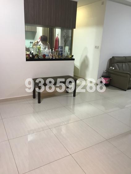 The Palette (D18), Condominium #156363902